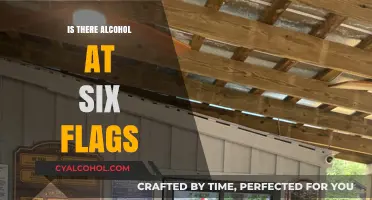 Six Flags Alcohol Policy: What to Expect at the Park