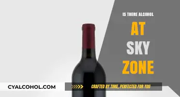 Does Sky Zone Serve Alcohol? Exploring the Fun Zone's Beverage Options