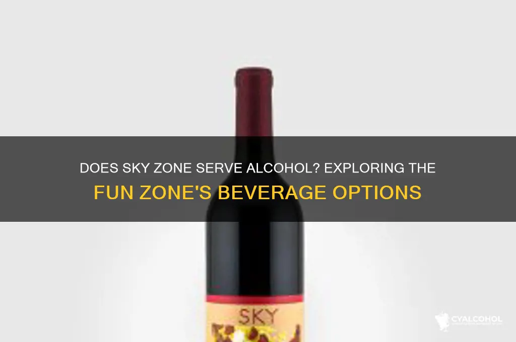 is there alcohol at sky zone