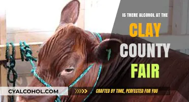 Clay County Fair: Alcohol Availability and What You Need to Know