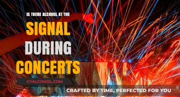 Does The Signal Serve Alcohol at Concerts? What to Expect
