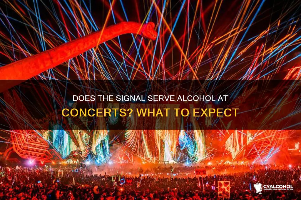 is there alcohol at the signal during concerts