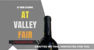 Does Valley Fair Serve Alcohol? Exploring the Park's Beverage Options