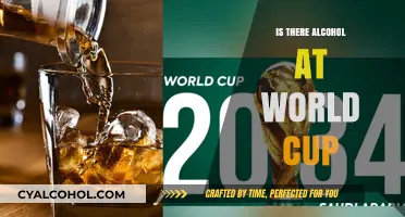Alcohol at the World Cup: Policies, Availability, and Fan Experiences