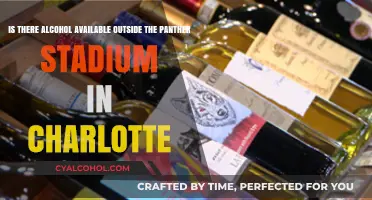 Alcohol Availability Near Charlotte's Panther Stadium