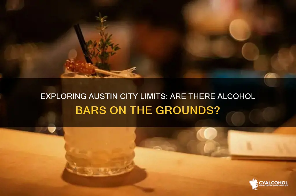 is there alcohol bars in austin city limits