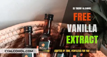 Exploring Alcohol-Free Vanilla Extract: A Flavorful Alternative for Bakers