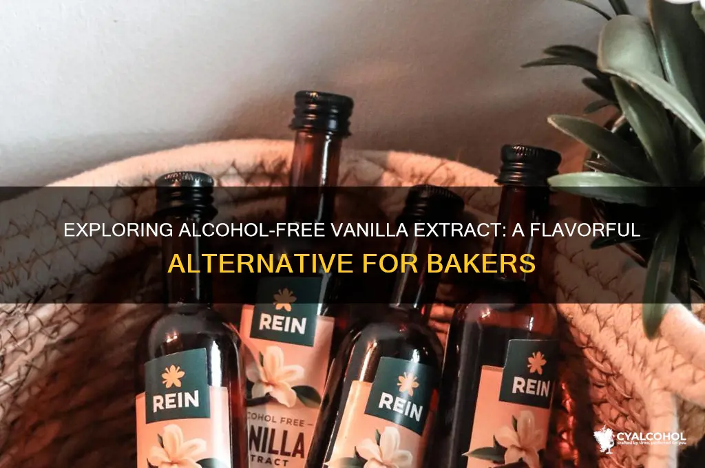 is there alcohol free vanilla extract