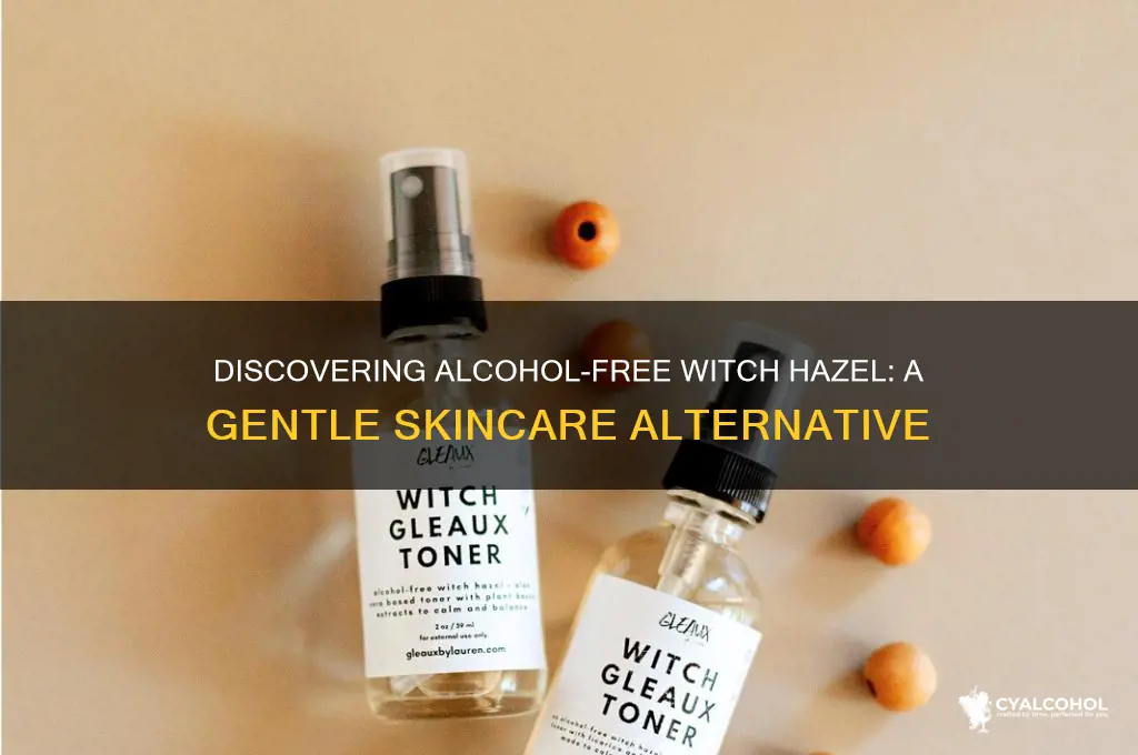is there alcohol free witch hazel