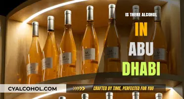 Exploring Alcohol Availability in Abu Dhabi: Rules, Options, and Culture