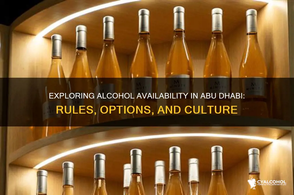 is there alcohol in abu dhabi