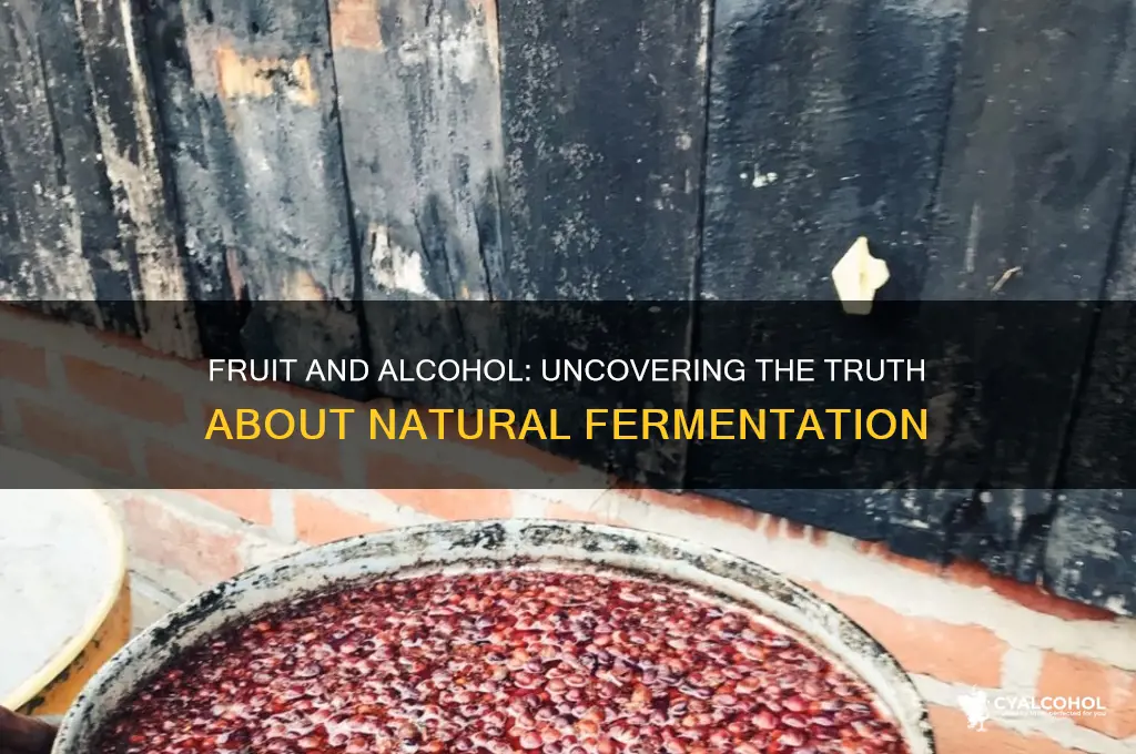 is there alcohol in all fruit