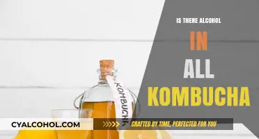 Does Kombucha Contain Alcohol? Unveiling the Truth Behind the Fermented Tea