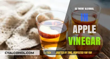 Does Apple Cider Vinegar Contain Alcohol? Facts and Myths Explained
