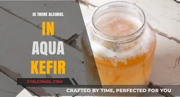 Does Aqua Kefir Contain Alcohol? Unveiling the Fermented Truth