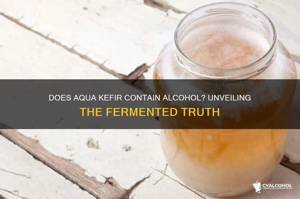 is there alcohol in aqua kefir