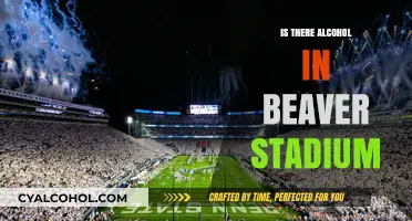 Does Beaver Stadium Serve Alcohol? Exploring Penn State's Game Day Policies