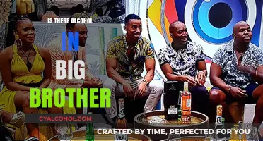 Big Brother's Boozy Secrets: Alcohol's Role in the Reality Show