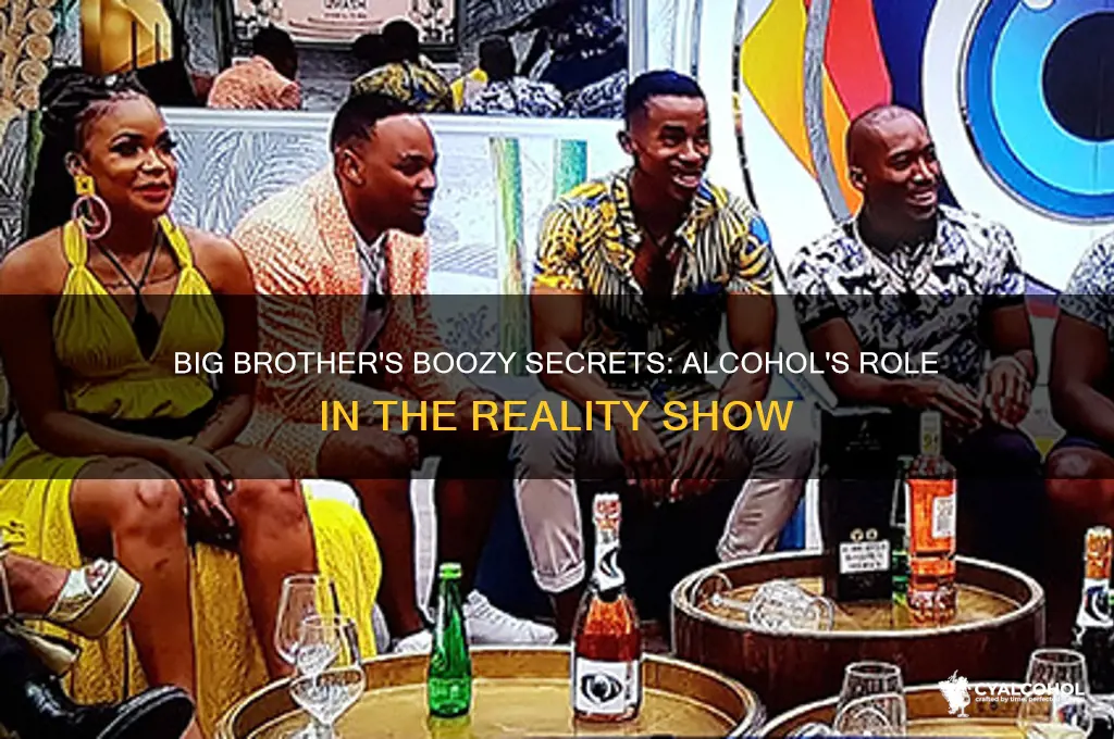 is there alcohol in big brother