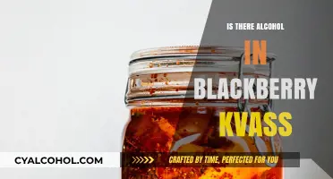 Does Blackberry Kvass Contain Alcohol? Unveiling the Fermented Truth
