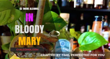 Does a Bloody Mary Cocktail Contain Alcohol? Ingredients Explained