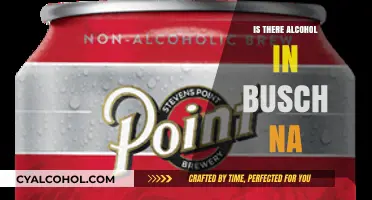 Busch NA Alcohol Content: Unveiling the Truth About This Non-Alcoholic Beer