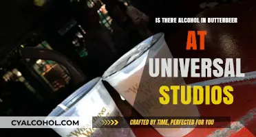 Does Universal Studios' Butterbeer Contain Alcohol? The Truth Revealed