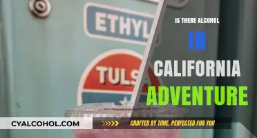 Exploring California Adventure: Alcohol Availability and Park Experience Insights