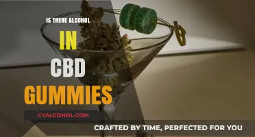 CBD Gummies and Alcohol: Unraveling the Truth Behind Ingredients