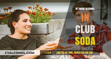 Is Club Soda Alcohol-Free? Unveiling the Truth Behind the Bubbles