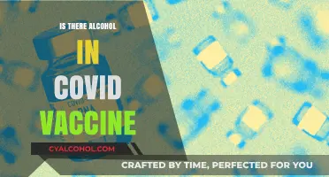 COVID-19 Vaccines and Alcohol: Debunking Myths About Ingredients