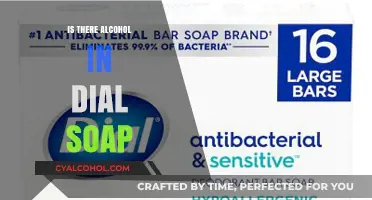 Does Dial Soap Contain Alcohol? Uncovering the Ingredients in Your Soap