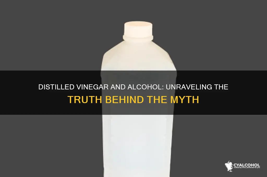 is there alcohol in distilled vinegar
