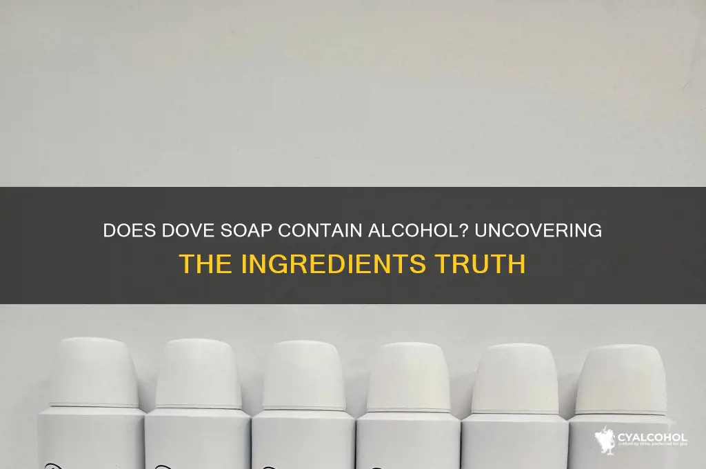 is there alcohol in dove soap