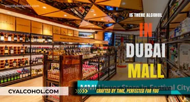 Exploring Dubai Mall: Alcohol Availability and Shopping Experience