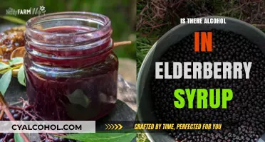 Does Elderberry Syrup Contain Alcohol? Uncovering the Truth for Health-Conscious Users
