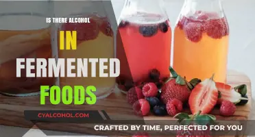 Fermented Foods and Alcohol: Unveiling the Truth Behind the Buzz