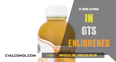 Does GTS Enlightened Kombucha Contain Alcohol? Facts Revealed