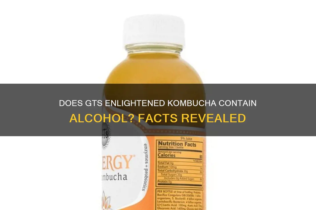 is there alcohol in gts enlighened