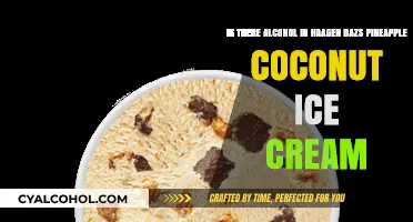 Haagen-Dazs Pineapple Coconut Ice Cream: Alcohol-Free Indulgence