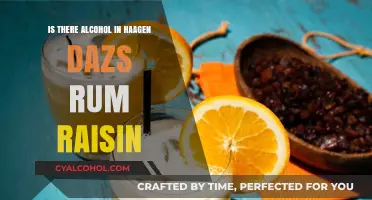 Does Häagen-Dazs Rum Raisin Ice Cream Contain Real Alcohol?