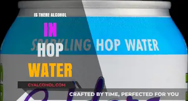 Does Hop Water Contain Alcohol? Unveiling the Truth Behind the Trend