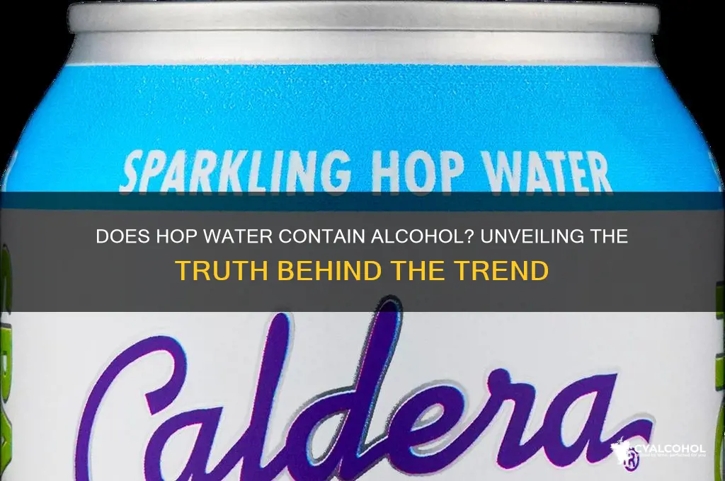 is there alcohol in hop water