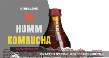 Does Humm Kombucha Contain Alcohol? Uncovering the Truth About Your Favorite Drink