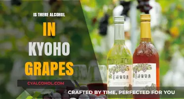 Do Kyoho Grapes Contain Alcohol? Unraveling the Myth and Facts
