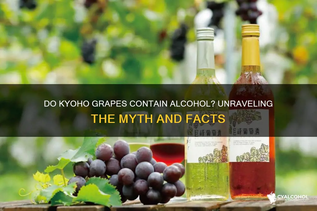 is there alcohol in kyoho grapes
