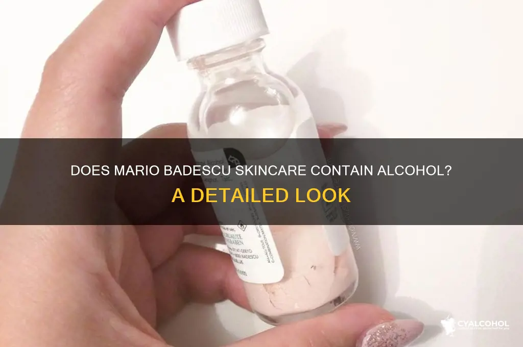 is there alcohol in mario badescu