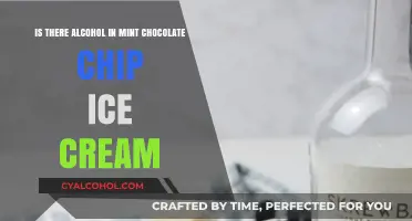 Mint Chocolate Chip Ice Cream: Alcohol-Free Delight