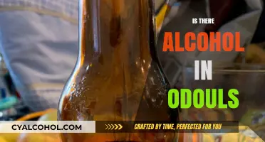 Does Odouls Contain Alcohol? Uncovering the Truth About Non-Alcoholic Beer