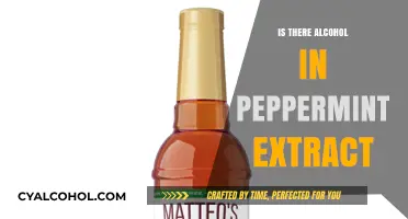Does Peppermint Extract Contain Alcohol? Uncovering the Truth in Your Kitchen